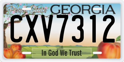 GA license plate CXV7312