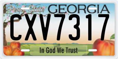 GA license plate CXV7317