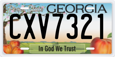 GA license plate CXV7321
