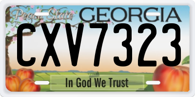 GA license plate CXV7323