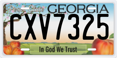 GA license plate CXV7325