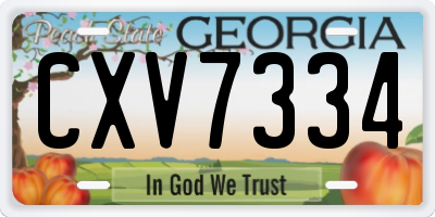 GA license plate CXV7334