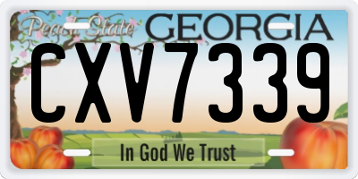 GA license plate CXV7339
