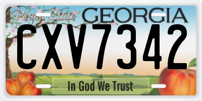 GA license plate CXV7342