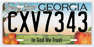 GA license plate CXV7343
