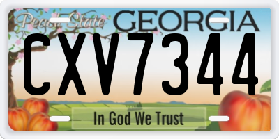 GA license plate CXV7344