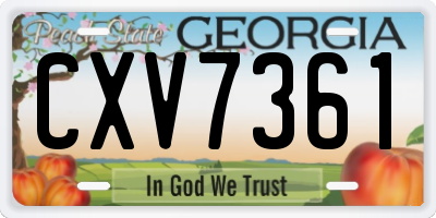 GA license plate CXV7361