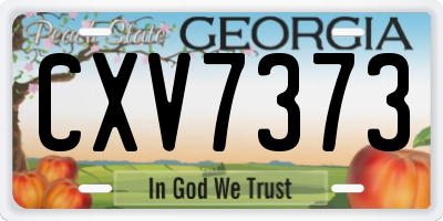 GA license plate CXV7373
