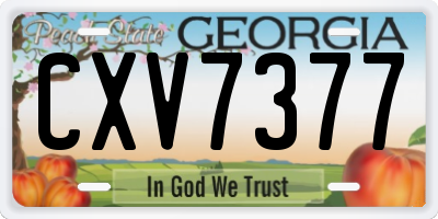 GA license plate CXV7377