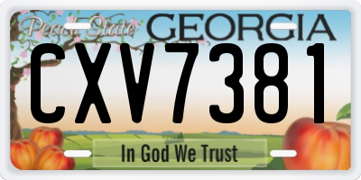 GA license plate CXV7381
