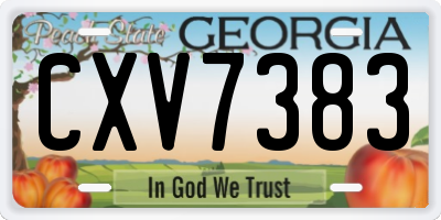 GA license plate CXV7383