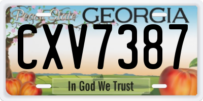 GA license plate CXV7387