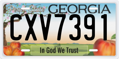 GA license plate CXV7391