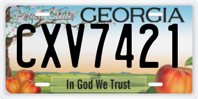GA license plate CXV7421