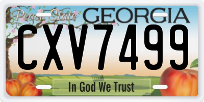 GA license plate CXV7499