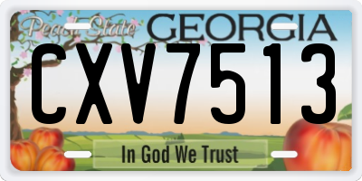 GA license plate CXV7513