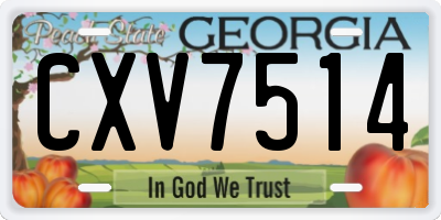 GA license plate CXV7514