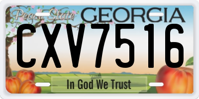GA license plate CXV7516