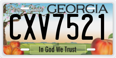 GA license plate CXV7521
