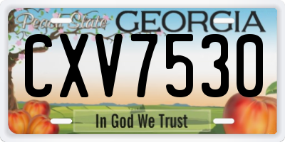 GA license plate CXV7530