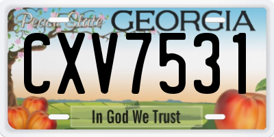 GA license plate CXV7531