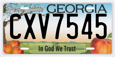 GA license plate CXV7545