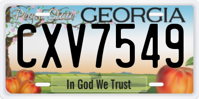 GA license plate CXV7549