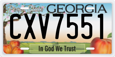 GA license plate CXV7551