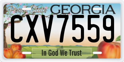 GA license plate CXV7559