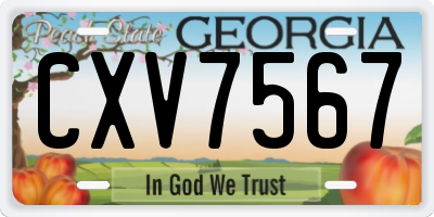 GA license plate CXV7567