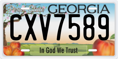 GA license plate CXV7589