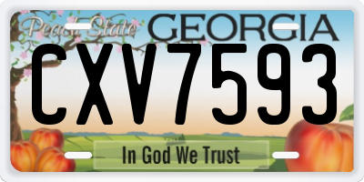 GA license plate CXV7593