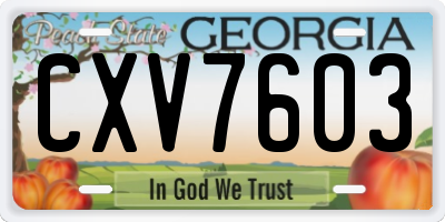 GA license plate CXV7603