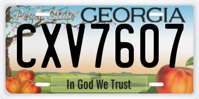 GA license plate CXV7607