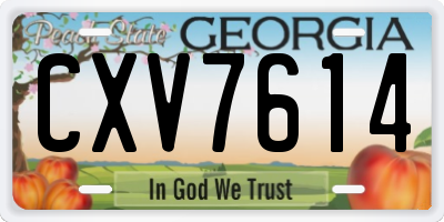 GA license plate CXV7614