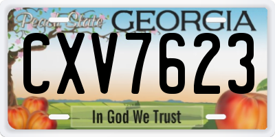 GA license plate CXV7623