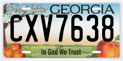 GA license plate CXV7638