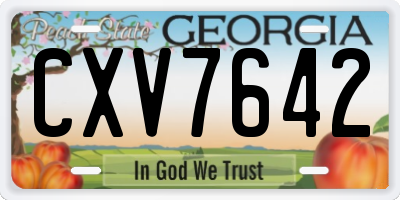 GA license plate CXV7642