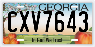 GA license plate CXV7643