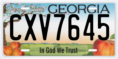 GA license plate CXV7645