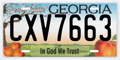 GA license plate CXV7663