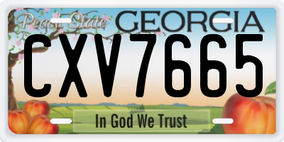 GA license plate CXV7665