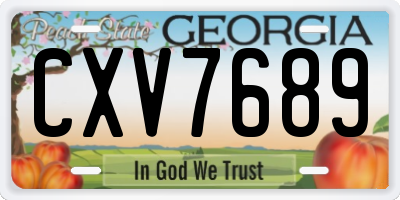 GA license plate CXV7689