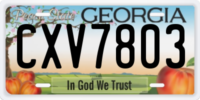 GA license plate CXV7803