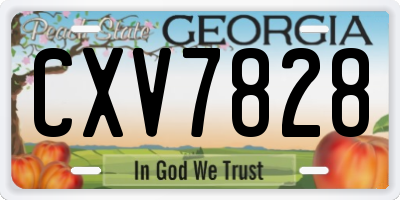 GA license plate CXV7828