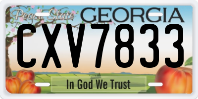 GA license plate CXV7833