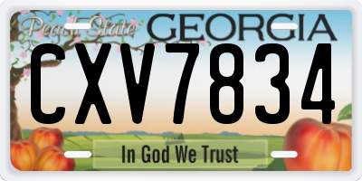 GA license plate CXV7834