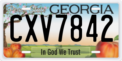 GA license plate CXV7842