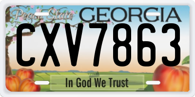 GA license plate CXV7863