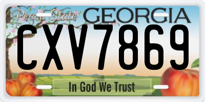 GA license plate CXV7869